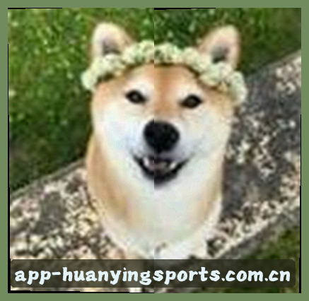 小马